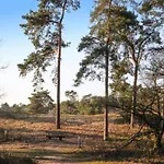 Chalet By The Water In Leukermeer