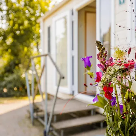By The Water In Leukermeer Chalet Well (Limburg)